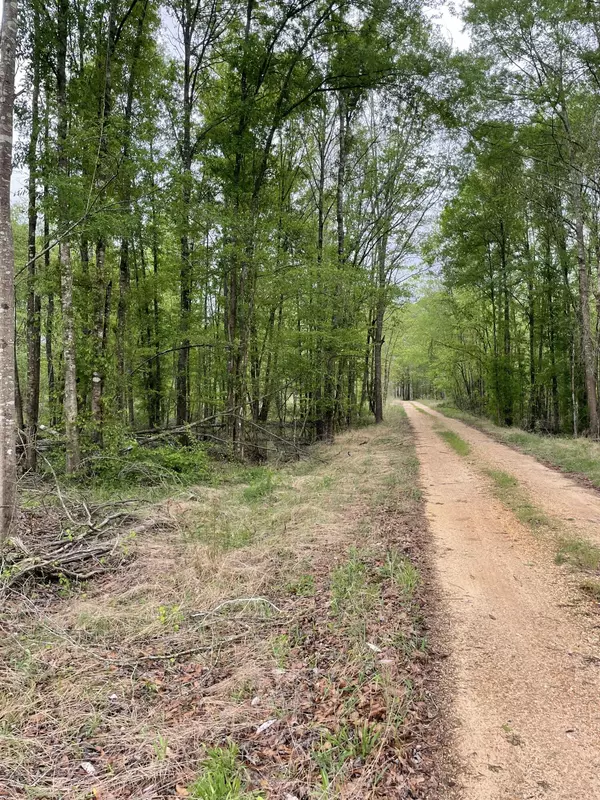 Columbia, MS 39429,Lot H Easement off of River Bend Rd