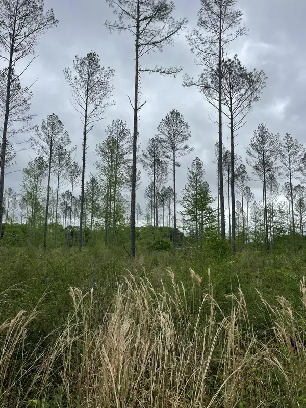 Columbia, MS 39429,Lot J Easement Off of River Bend Rd