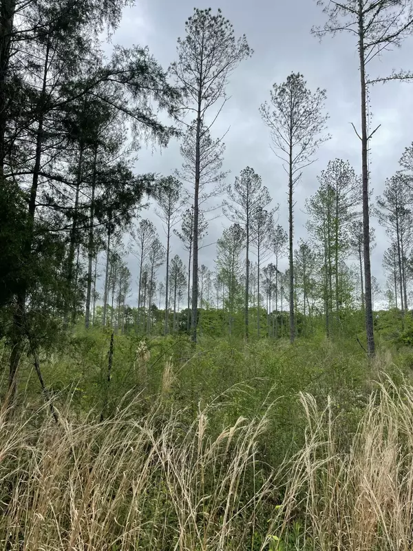 Columbia, MS 39429,Lot J Easement Off of River Bend Rd