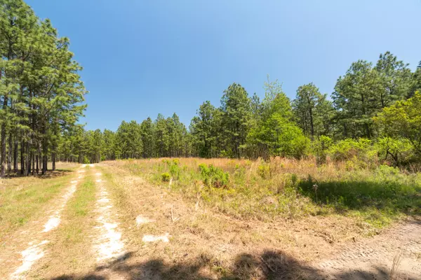 Purvis, MS 39475,703 AC +/- Purvis to Baxterville Rd.