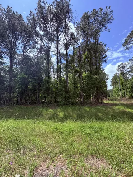 0 Hwy 98, Hattiesburg, MS 39401