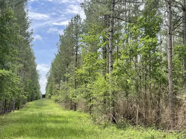 Taylorsville, MS 39168,0 Our Dr.