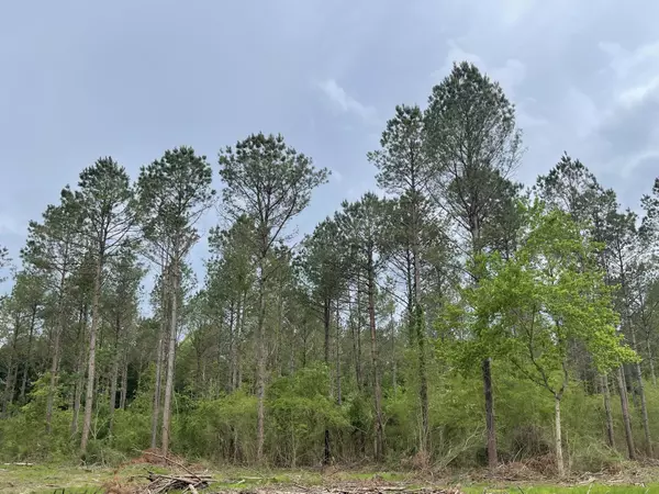 Waynesboro, MS 39367,0 Tiner Rd.