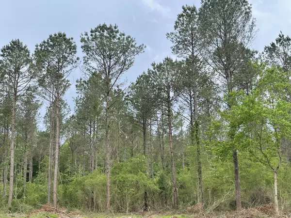 Waynesboro, MS 39367,0 Tiner Rd.