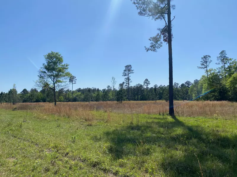 155 Go Go Rd., Poplarville, MS 39470