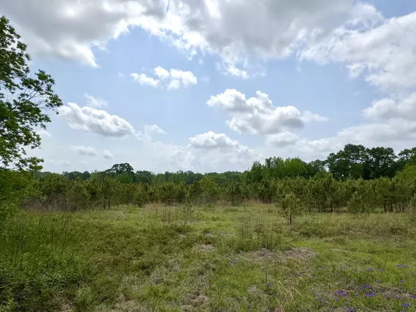 Magee, MS 39111,485 SCR 62