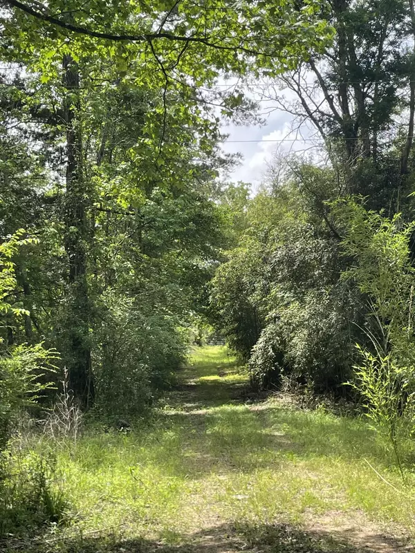 Prentiss, MS 39474,7.3 acres Two Miles Rd