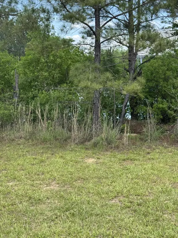 Lumberton, MS 39455,8 Paddle PT