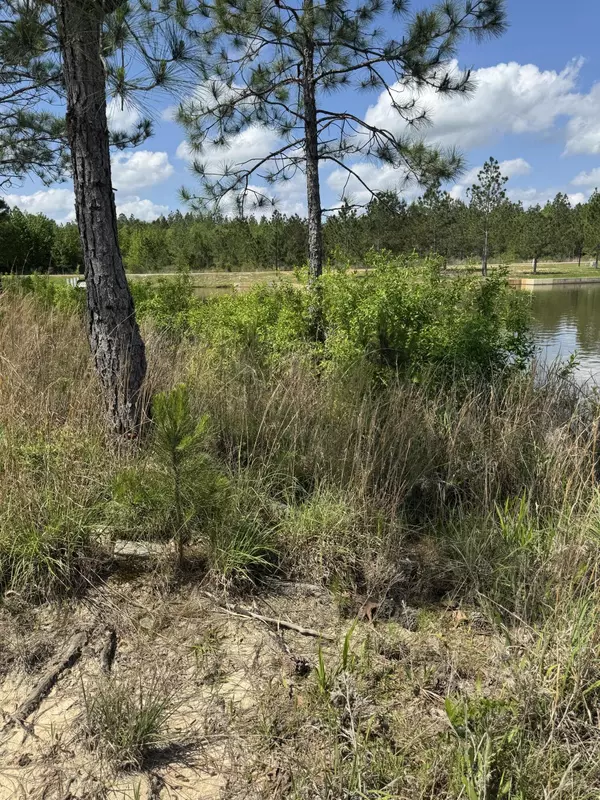 Lumberton, MS 39455,13 Spinnerbait