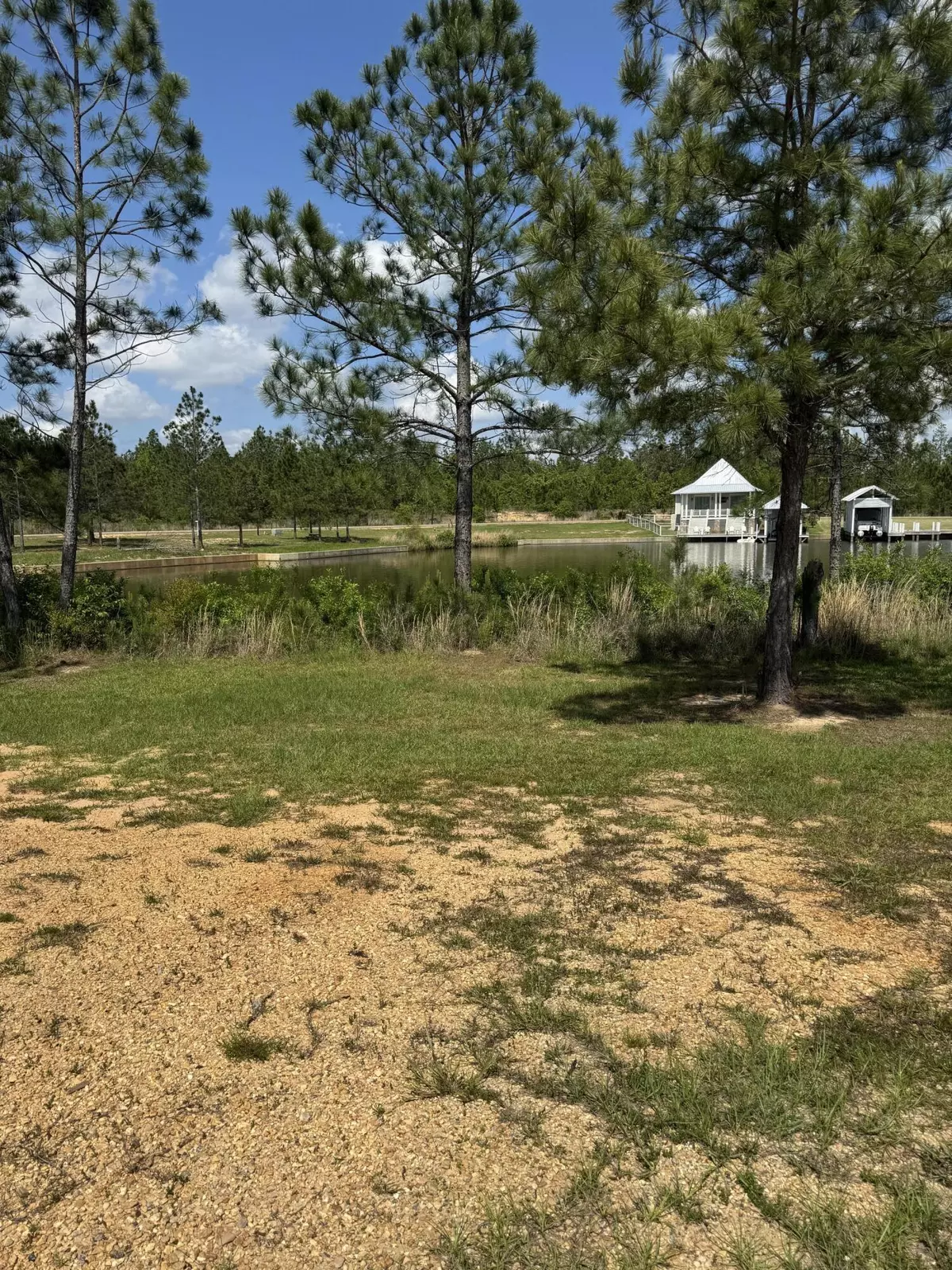 Lumberton, MS 39455,13 Spinnerbait