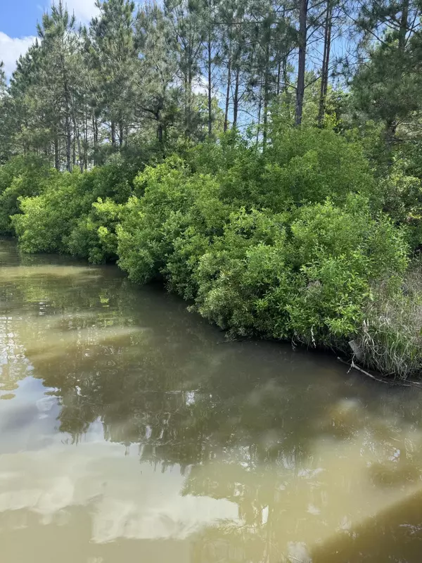 Lumberton, MS 39455,8 Jitterbug Bend