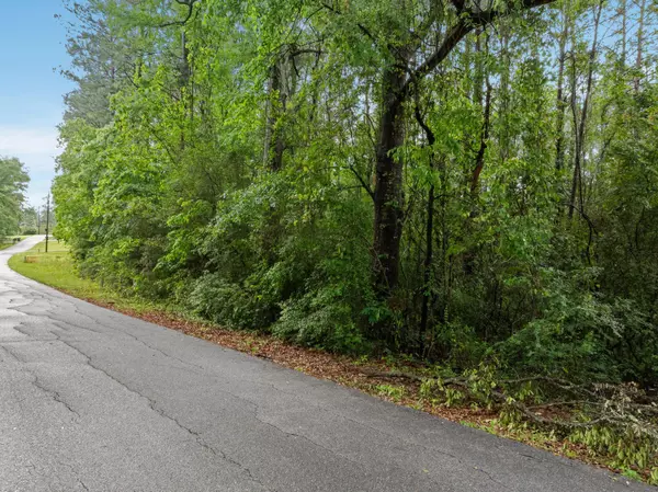 Purvis, MS 39475,Lot 18 &19 Lakeview Dr.