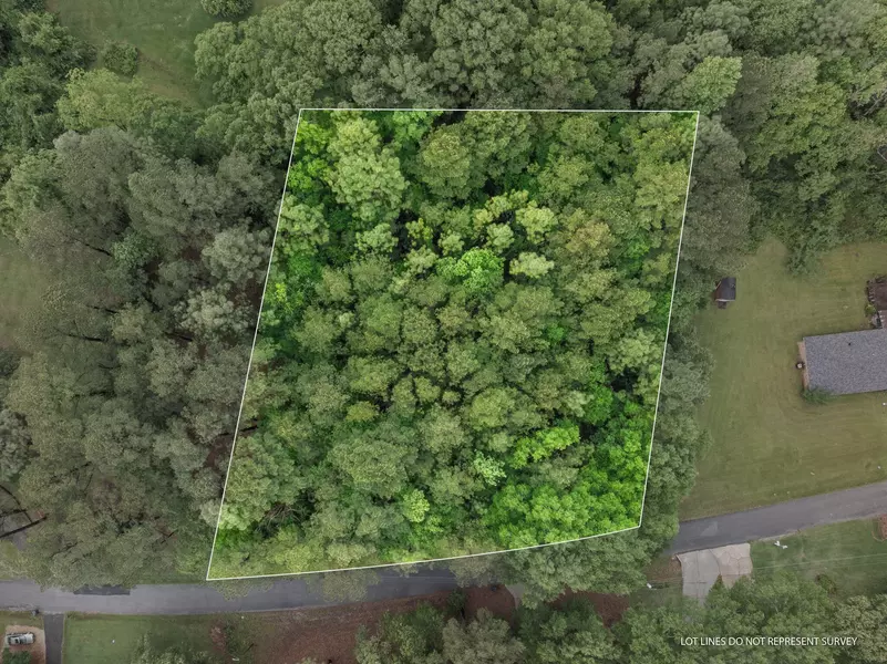 Lot 18 &19 Lakeview Dr., Purvis, MS 39475