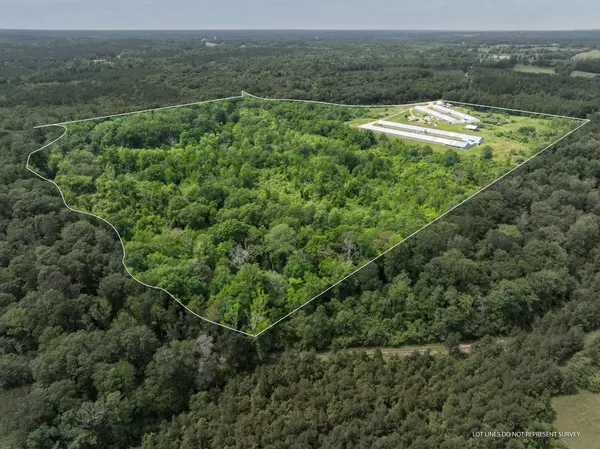 Mount Olive, MS 39119,292 Arbo Rd.