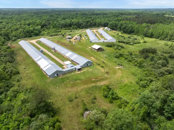 Mount Olive, MS 39119,292 Arbo Rd.