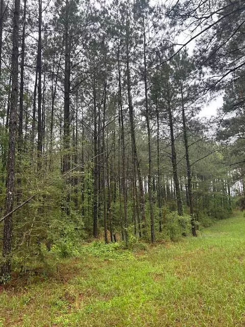 Sandy Hook, MS 39478,00 Forbes