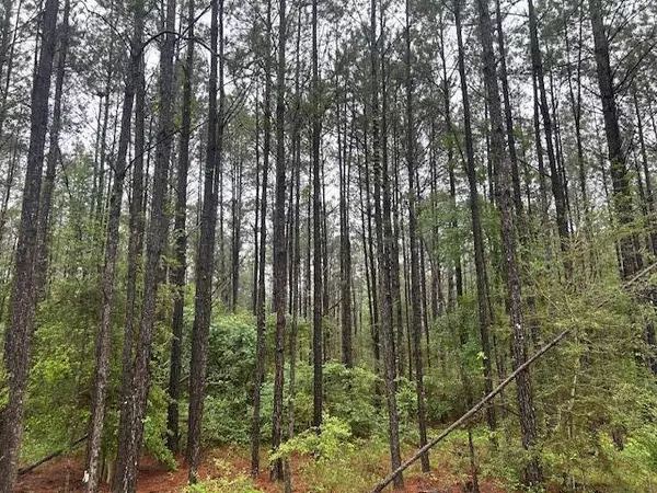 Sandy Hook, MS 39478,00 Forbes