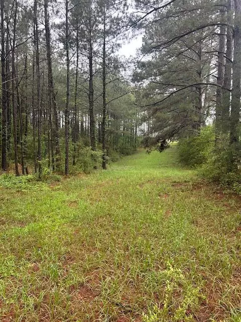 Sandy Hook, MS 39478,00 Forbes