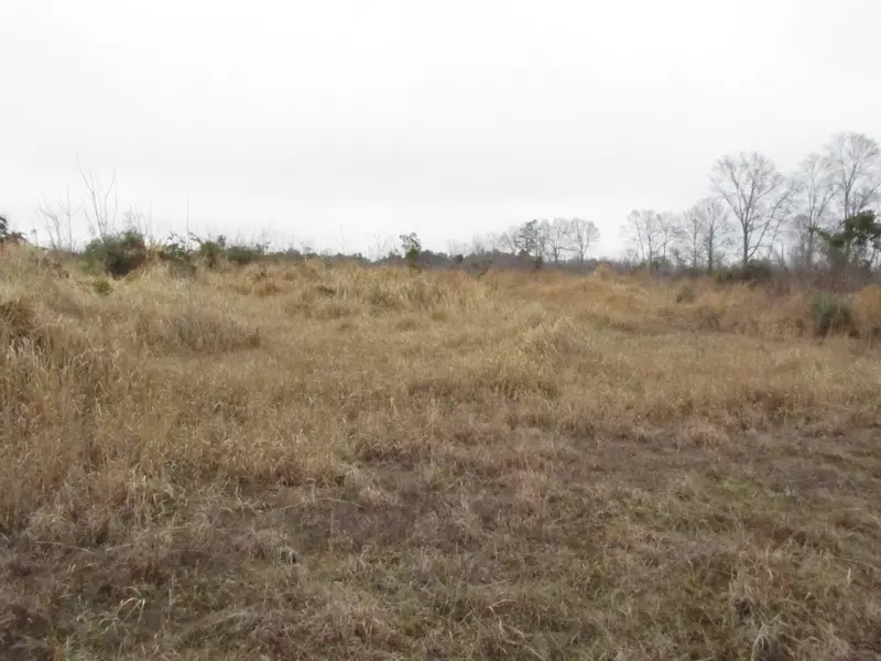 000 A J Bond, Sumrall, MS 39482