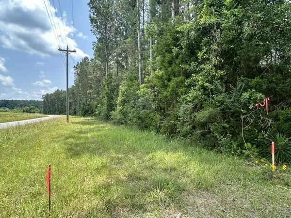 Ovett, MS 39464,Parcel 1 George Boutwell Rd.