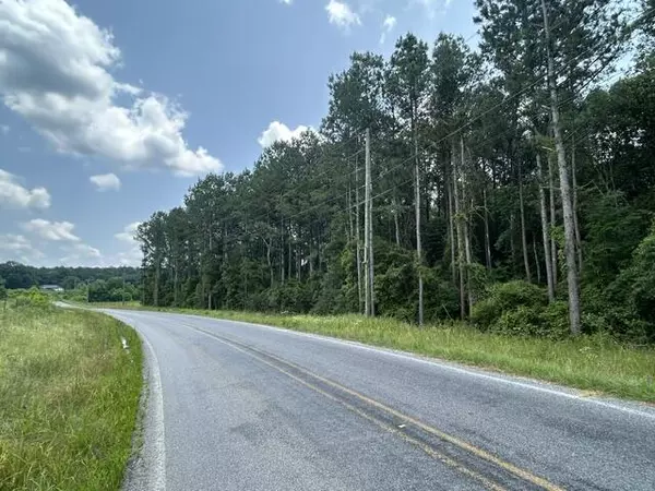 Ovett, MS 39464,Parcel 2 George Boutwell Rd.