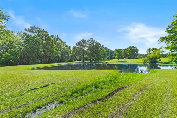 Laurel, MS 39443,113 Morning Dew