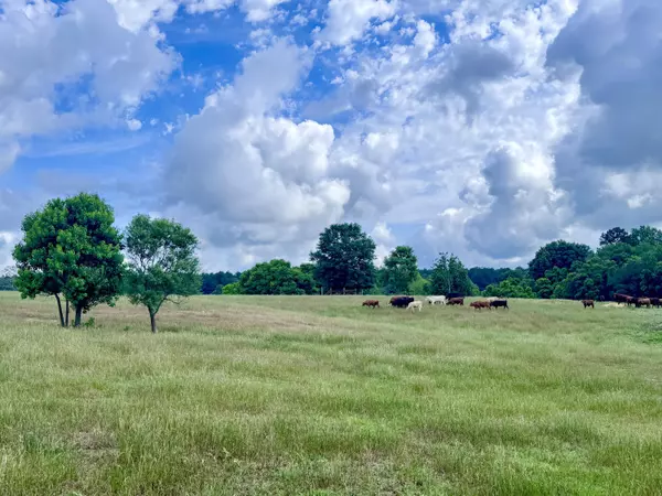 Sumrall, MS 39482,00 J D Broome Rd.