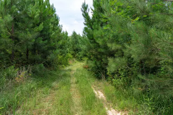 Pachuta, MS 39347,00 CR 1848