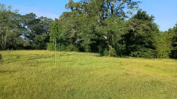 Petal, MS 39465,384 Pumping Station Rd.