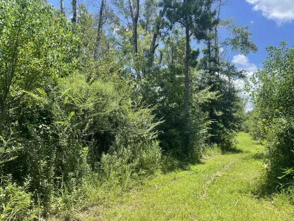 Prentiss, MS 39474,TBD Hollis Lane