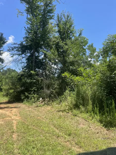 TBD Hollis Lane, Prentiss, MS 39474