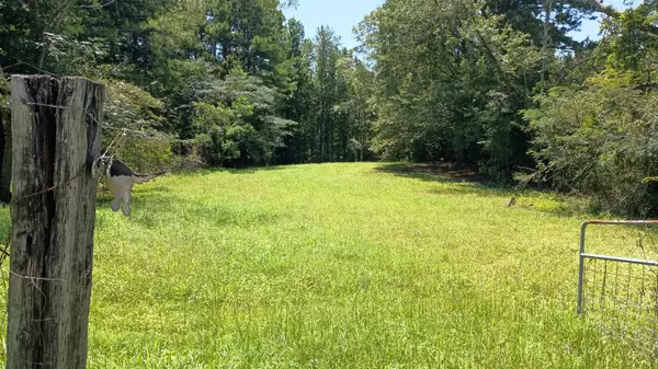 Laurel, MS 39443,63 1/2 WOODSON Dr.