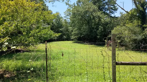 Laurel, MS 39443,63 1/2 WOODSON Dr.