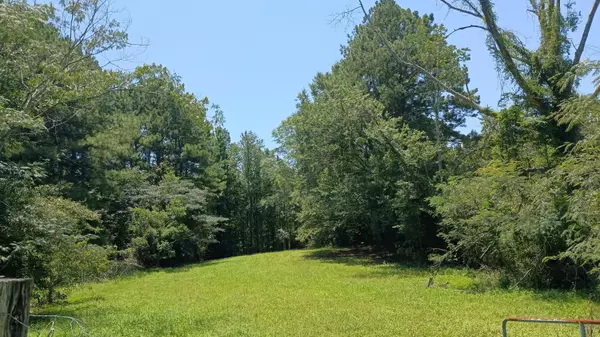 Laurel, MS 39443,63 1/2 WOODSON Dr.