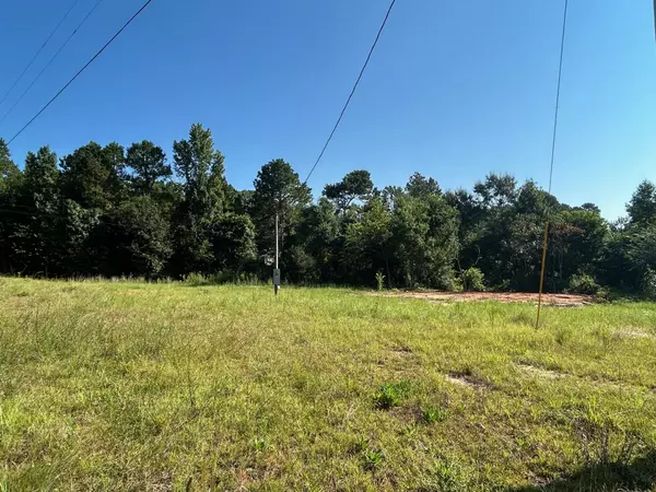 Lumberton, MS 39455,140 Prospres Ridge Rd.