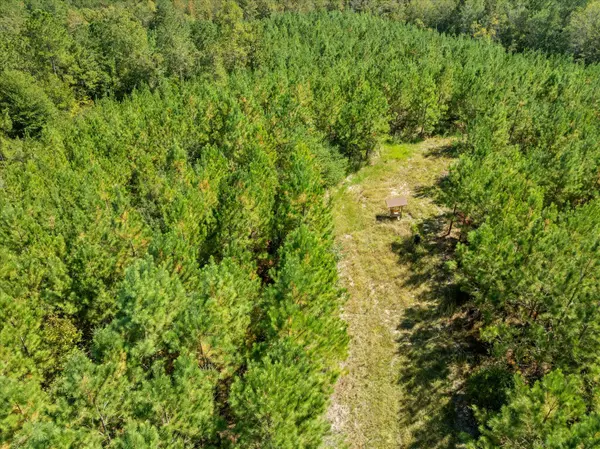 Shubuta, MS 39360,000 Beat 4 Shubuta Rd.