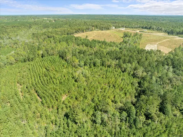 Shubuta, MS 39360,000 Beat 4 Shubuta Rd.