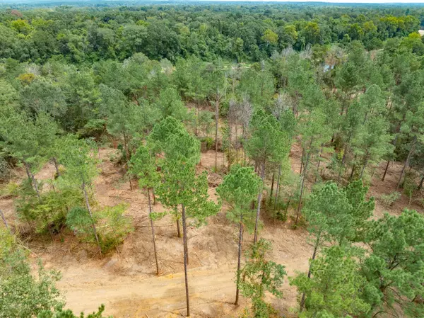 Mc Lain, MS 39456,1.04 MOL AC Old Hwy 24 Parcel 11