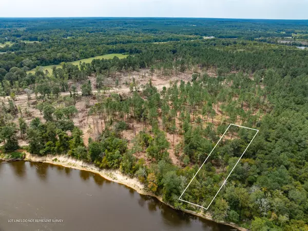 Mc Lain, MS 39456,1.02 MOL AC Old Hwy 24 Parcel 12