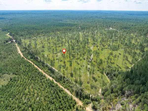 Lumberton, MS 39455,10.8 Acres Crown Zellerback Rd.