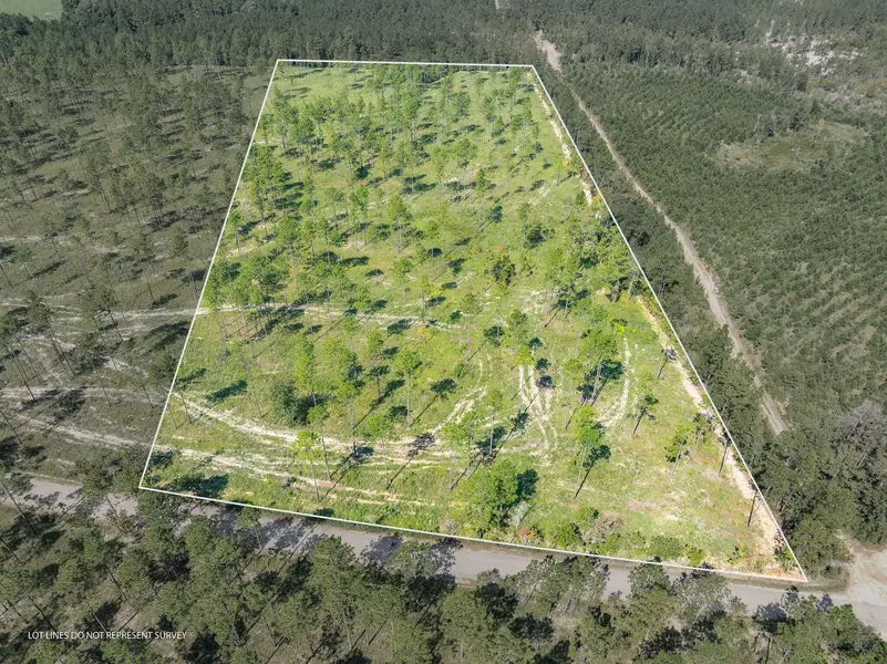 10.8 Acres Crown Zellerback Rd., Lumberton, MS 39455