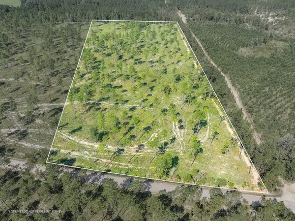 Lumberton, MS 39455,10.8 Acres Crown Zellerback Rd.