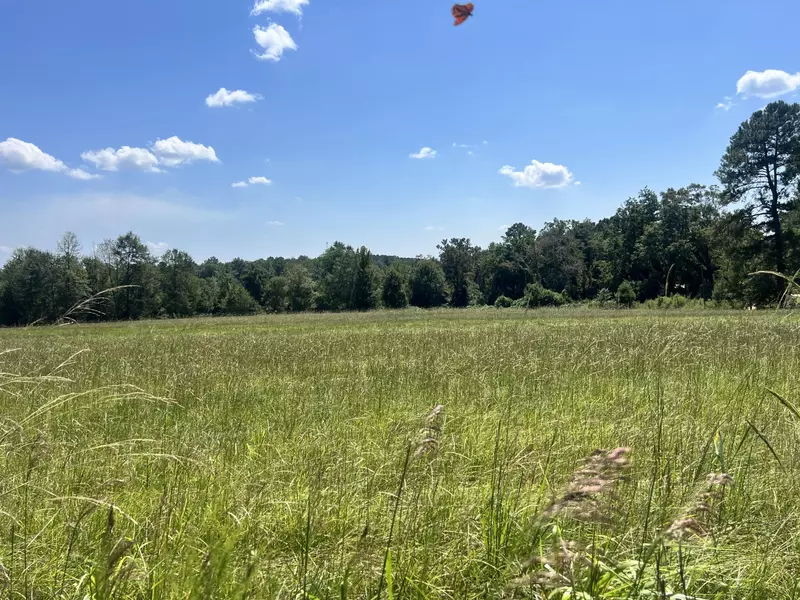 0 Hartfield Rd., Petal, MS 39465