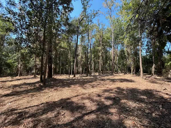 Lumberton, MS 39455,00 Piatonia Rd.