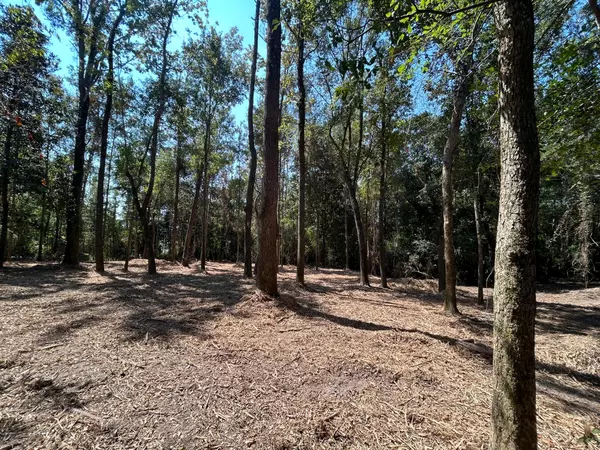 Lumberton, MS 39455,00 Piatonia Rd.