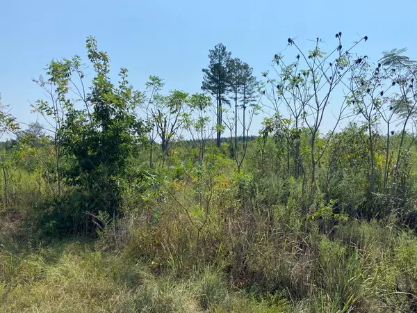 Sumrall, MS 39482,0000 A J Bond Rd.