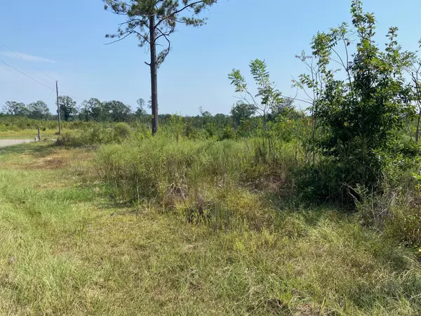 Sumrall, MS 39482,0000 A J Bond Rd.