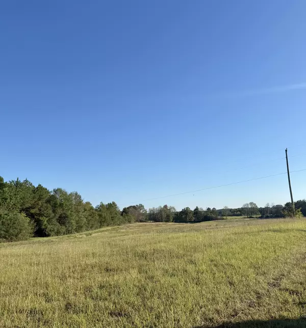 Tylertown, MS 39667,- Dexter Rd