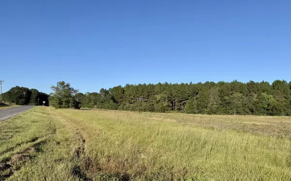 Tylertown, MS 39667,- Dexter Rd