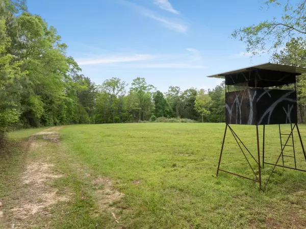 15 Old Hwy 35, Sandy Hook, MS 39478